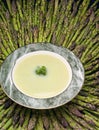 Asparagus cream soup Royalty Free Stock Photo