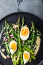 Asparagus with eggs and french dressing with dijon mustard, onion chopped in red vinegar  taragon on grey textured background, top Royalty Free Stock Photo
