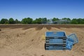 Asparagus field