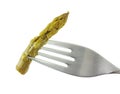 Asparagus on fork Royalty Free Stock Photo