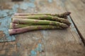 Asparagus. Fresh asparagus. Asparagus grows in the field. Pile of fresh asparagus on ground outdoors. Royalty Free Stock Photo