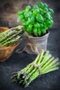 Asparagus. Fresh raw organic green Asparagus sprouts closeup. Over wooden table. Healthy vegetarian food. Raw vegetables, market Royalty Free Stock Photo