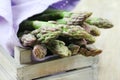 Asparagus Royalty Free Stock Photo