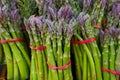 Asparagus green in a row at outdoor