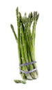 Asparagus. Asparagus Group. Fresh, life. Royalty Free Stock Photo