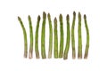 Asparagus group of green healthy vegetables organized in a row isolated on a white background as a food concept of Royalty Free Stock Photo