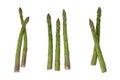 Asparagus group of green healthy vegetables organized in a row isolated on a white background as a food concept of Royalty Free Stock Photo