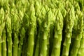 Asparagus