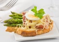 Asparagus ham cheese sandwich Royalty Free Stock Photo