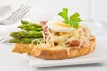 Asparagus ham cheese sandwich Royalty Free Stock Photo