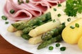 Asparagus with ham and hollandaise sauce Royalty Free Stock Photo