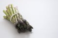 Asparagus heap isolated. Fresh vegetables. Copy space