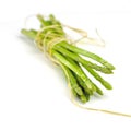 Asparagus isolated on white background Royalty Free Stock Photo