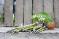 Asparagus with lilly of the valley flowers Royalty Free Stock Photo