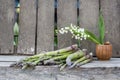 Asparagus with lilly of the valley flowers Royalty Free Stock Photo