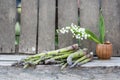 Asparagus with lilly of the valley flowers Royalty Free Stock Photo