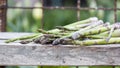 Asparagus with metallic lattice, wooden surface Royalty Free Stock Photo