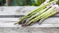 Asparagus with metallic lattice, wooden surface Royalty Free Stock Photo