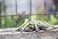 Asparagus with metallic lattice, wooden surface Royalty Free Stock Photo