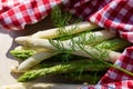 The Asparagus officinalis Royalty Free Stock Photo