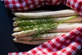 The Asparagus officinalis Royalty Free Stock Photo
