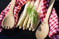 The Asparagus officinalis Royalty Free Stock Photo