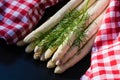 The Asparagus officinalis Royalty Free Stock Photo