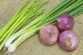 Asparagus, Onion and spring onion Royalty Free Stock Photo