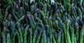 Asparagus pile at an open air farmers market stall Royalty Free Stock Photo