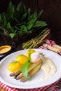A asparagus with poached egg sauce and wild garlic Royalty Free Stock Photo