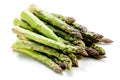 Asparagus Raw asparagus Fresh Asparagus Green Asparagus on white backkground.