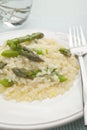 Asparagus Risotto Royalty Free Stock Photo