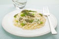 Asparagus Risotto Royalty Free Stock Photo