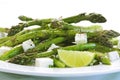 Asparagus Salad Royalty Free Stock Photo