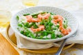 Asparagus shrimp risotto Royalty Free Stock Photo