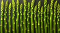 Asparagus simmetrical ordered food as a background top view Royalty Free Stock Photo