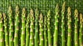 Asparagus simmetrical ordered food as a background top view Royalty Free Stock Photo