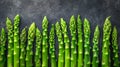 Asparagus simmetrical ordered food as a background top view Royalty Free Stock Photo