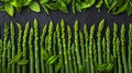 Asparagus simmetrical ordered food as a background top view Royalty Free Stock Photo