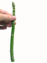 Asparagus spear in hand