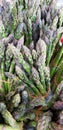 Asparagus spears bundles farm fresh Royalty Free Stock Photo