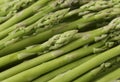 Asparagus spears Royalty Free Stock Photo