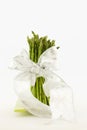 Asparagus Stalks Tied with White Ribbon Royalty Free Stock Photo