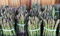 Asparagus Stems Royalty Free Stock Photo