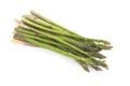 Asparagus Vegetable Royalty Free Stock Photo