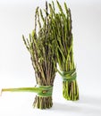 Asparagus on white background