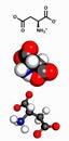 Aspartic acid (Asp, D, aspartate)amino acid, molecular model.Aspartic acid (Asp, D, aspartate) amino acid molecule