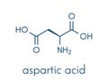Aspartic acid L-aspartic acid, Asp, D amino acid molecule. Skeletal formula.