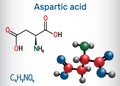 Aspartic acid L- aspartic acid, Asp, D, aspartate proteinogenic amino acid molecule. Structural chemical formula and molecule