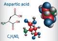 Aspartic acid L- aspartic acid, Asp, D, aspartate proteinogenic amino acid molecule. Structural chemical formula and molecule